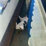 ヒメ日記 2026/03/24 09:09 投稿 みさ Blue Moon