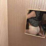 ヒメ日記 2025/11/13 10:50 投稿 こころ 花夫人