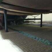 ヒメ日記 2025/03/27 08:46 投稿 鈴木かのん 五十路マダム 新潟店(カサブランカグループ)