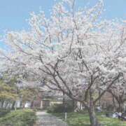 ヒメ日記 2025/04/12 21:14 投稿 鈴木かのん 五十路マダム 新潟店(カサブランカグループ)