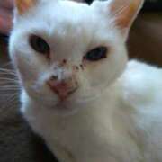 ヒメ日記 2025/09/04 17:30 投稿 鈴木かのん 五十路マダム 新潟店(カサブランカグループ)