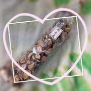 ヒメ日記 2025/12/17 15:39 投稿 螢（ほたる） エッチな熟女(熊谷)