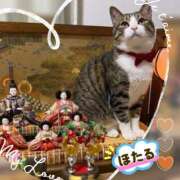 ヒメ日記 2026/03/03 19:26 投稿 螢（ほたる） エッチな熟女(熊谷)