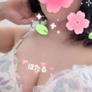 ヒメ日記 2026/04/03 10:31 投稿 螢（ほたる） エッチな熟女(熊谷)