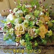 ヒメ日記 2024/12/17 09:41 投稿 もも 愛知弥富ちゃんこ