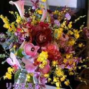 ヒメ日記 2024/12/29 20:02 投稿 もも 愛知弥富ちゃんこ