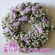 ヒメ日記 2025/02/05 11:50 投稿 もも 愛知弥富ちゃんこ