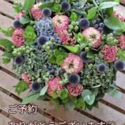 ヒメ日記 2025/02/08 21:11 投稿 もも 愛知弥富ちゃんこ