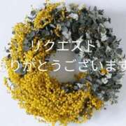 ヒメ日記 2025/03/09 20:01 投稿 もも 愛知弥富ちゃんこ