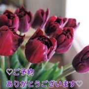 ヒメ日記 2025/03/13 09:41 投稿 もも 愛知弥富ちゃんこ