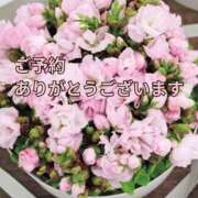 ヒメ日記 2025/03/18 07:41 投稿 もも 愛知弥富ちゃんこ