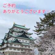 ヒメ日記 2025/04/04 08:18 投稿 もも 愛知弥富ちゃんこ