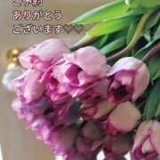 ヒメ日記 2025/04/23 09:19 投稿 もも 愛知弥富ちゃんこ