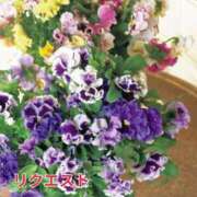 ヒメ日記 2025/05/03 23:51 投稿 もも 愛知弥富ちゃんこ