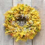 ヒメ日記 2025/05/12 10:02 投稿 もも 愛知弥富ちゃんこ