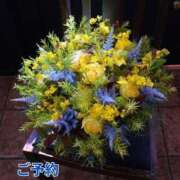 ヒメ日記 2025/05/18 20:21 投稿 もも 愛知弥富ちゃんこ