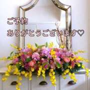 ヒメ日記 2025/05/20 08:31 投稿 もも 愛知弥富ちゃんこ
