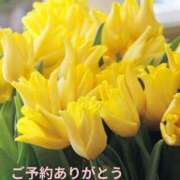 ヒメ日記 2025/05/23 18:31 投稿 もも 愛知弥富ちゃんこ