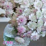 ヒメ日記 2025/05/25 14:31 投稿 もも 愛知弥富ちゃんこ