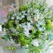 ヒメ日記 2025/06/04 08:41 投稿 もも 愛知弥富ちゃんこ