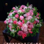 ヒメ日記 2025/06/09 09:51 投稿 もも 愛知弥富ちゃんこ