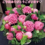 ヒメ日記 2025/06/13 08:51 投稿 もも 愛知弥富ちゃんこ