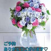 ヒメ日記 2025/06/18 14:23 投稿 もも 愛知弥富ちゃんこ