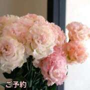 ヒメ日記 2025/06/22 20:01 投稿 もも 愛知弥富ちゃんこ