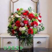 ヒメ日記 2025/07/11 20:02 投稿 もも 愛知弥富ちゃんこ