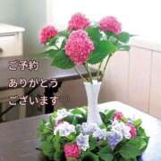 ヒメ日記 2025/07/14 09:32 投稿 もも 愛知弥富ちゃんこ