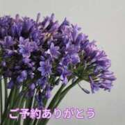 ヒメ日記 2025/07/23 10:02 投稿 もも 愛知弥富ちゃんこ