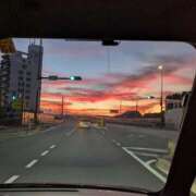 ヒメ日記 2025/07/28 18:51 投稿 もも 愛知弥富ちゃんこ