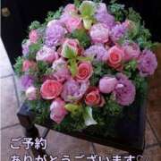 ヒメ日記 2025/08/04 11:58 投稿 もも 愛知弥富ちゃんこ