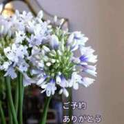 ヒメ日記 2025/08/08 09:21 投稿 もも 愛知弥富ちゃんこ