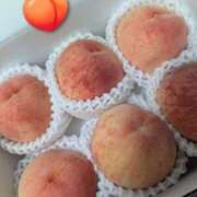 ヒメ日記 2025/08/20 15:41 投稿 もも 愛知弥富ちゃんこ