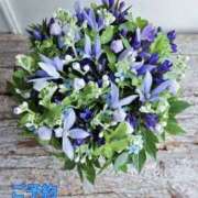 ヒメ日記 2025/09/03 09:10 投稿 もも 愛知弥富ちゃんこ