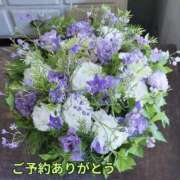 ヒメ日記 2025/09/07 18:41 投稿 もも 愛知弥富ちゃんこ