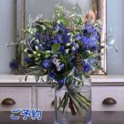 ヒメ日記 2025/09/08 10:21 投稿 もも 愛知弥富ちゃんこ