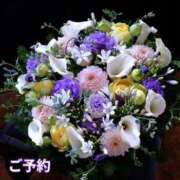 ヒメ日記 2025/09/17 08:21 投稿 もも 愛知弥富ちゃんこ