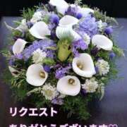 ヒメ日記 2025/09/21 18:31 投稿 もも 愛知弥富ちゃんこ