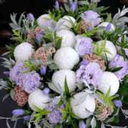 ヒメ日記 2025/09/24 11:02 投稿 もも 愛知弥富ちゃんこ