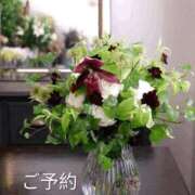 ヒメ日記 2025/10/03 13:02 投稿 もも 愛知弥富ちゃんこ