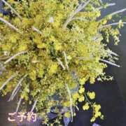 ヒメ日記 2025/10/14 09:41 投稿 もも 愛知弥富ちゃんこ