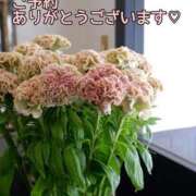 ヒメ日記 2025/10/30 08:41 投稿 もも 愛知弥富ちゃんこ