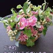 ヒメ日記 2025/11/01 19:31 投稿 もも 愛知弥富ちゃんこ