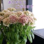 ヒメ日記 2025/11/25 10:02 投稿 もも 愛知弥富ちゃんこ