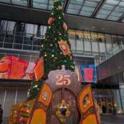 ヒメ日記 2025/12/15 18:01 投稿 もも 愛知弥富ちゃんこ