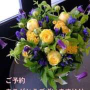 ヒメ日記 2025/12/17 09:25 投稿 もも 愛知弥富ちゃんこ