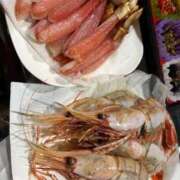 ヒメ日記 2026/01/11 16:51 投稿 もも 愛知弥富ちゃんこ