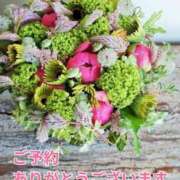 ヒメ日記 2026/01/15 14:05 投稿 もも 愛知弥富ちゃんこ